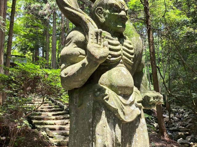 Studijní cesta do Japonska 2025